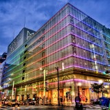 In aliquam varius augue a gravida