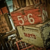 Metus dui molestie eli